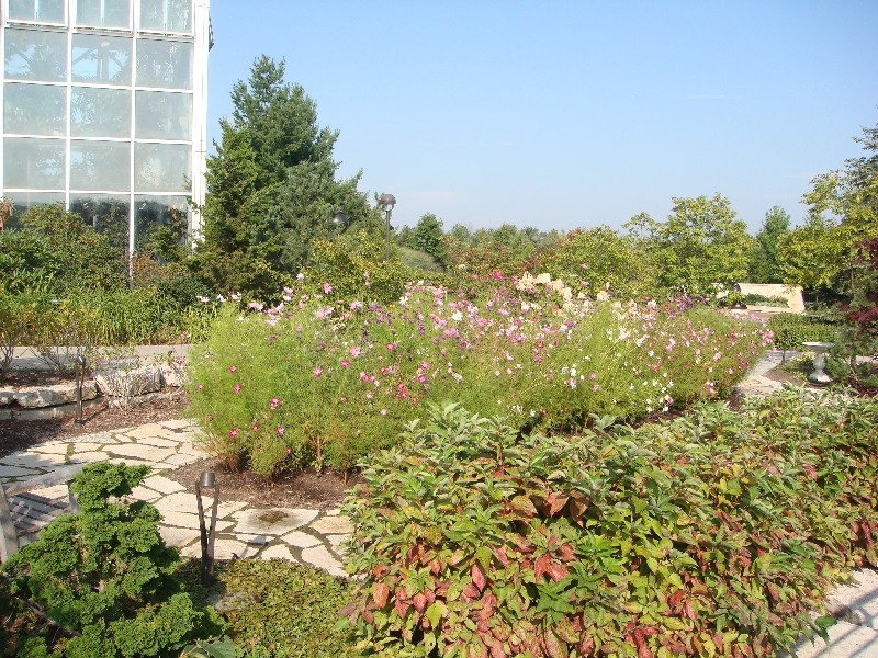 Western Michigan [2009] 198.JPG - Scenes from Frederik Meijer Gardens & Sculpture Park.